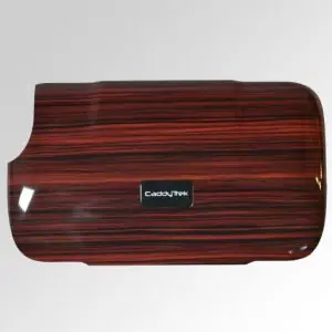 Cabin Fever Cover (R2)